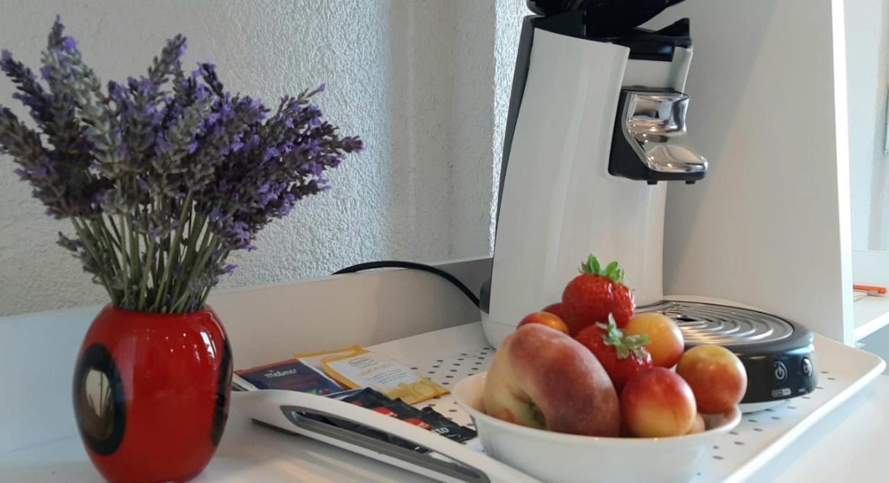 Helles Doppelzimmer mit Bad, Terrasse und Pool, seperater Eingang, Liznjan, Istrien Buitenkant foto
